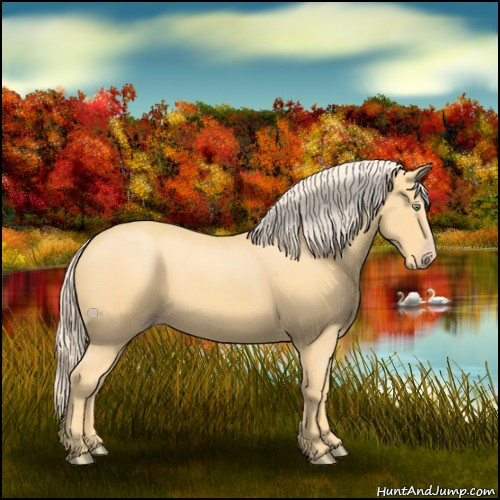 Horse Color:Gold Cream Champagne 