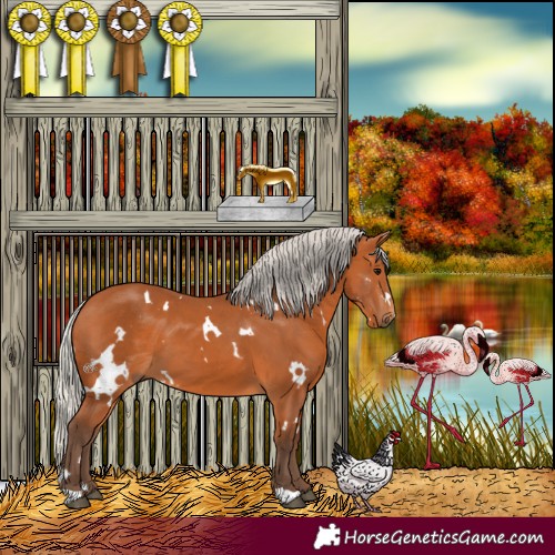 Horse Color:White Spotted Silver Bay
