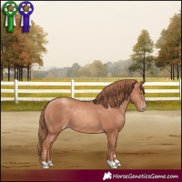 Horse Color:Gold Champagne