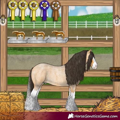 Horse Color:Buckskin Roan Splash 