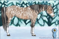 Horse Color:Bay Dun Sabino Appaloosa  and Bay Roan Dun Splash 