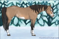 Horse Color:Bay Roan Dun Splash Frame Rabicano 