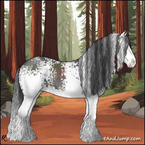 Horse Color:White Spotted Black Splash 