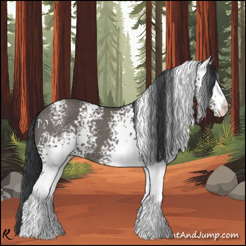 Horse Color:White Spotted Grullo