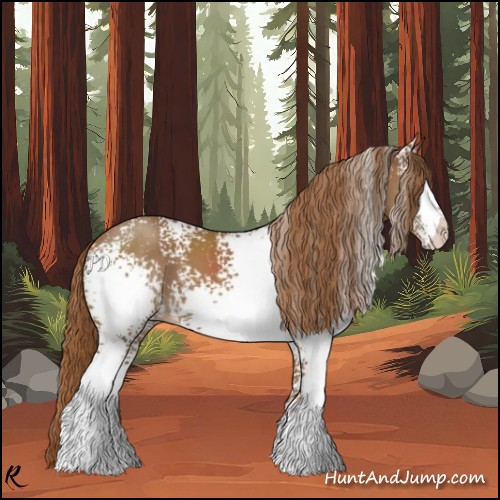 Horse Color:White Spotted Chestnut