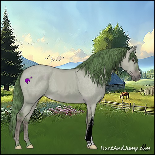 Horse Color:ERROR: UNKNOWN ANOMALY