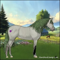 Horse Color:ERROR: UNKNOWN ANOMALY