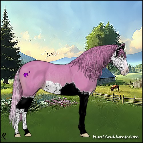 Horse Color:Watercolor Chestnut Splash 