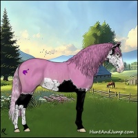 Horse Color:Watercolor Chestnut Splash 