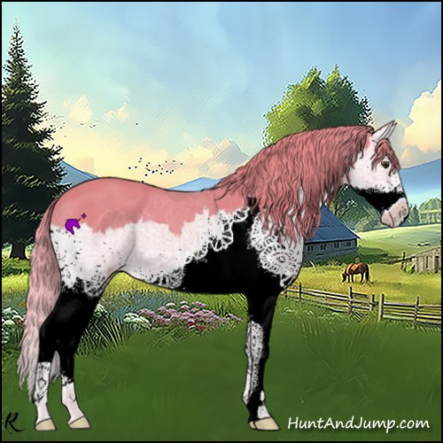 Horse Color:Watercolor Chestnut Splash