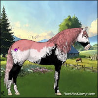 Horse Color:Watercolor Chestnut Splash 