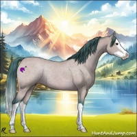 Horse Color:Watercolor Buckskin Splash 