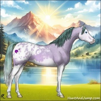 Horse Color:Watercolor Bay Dun Sabino Splash Appaloosa