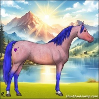 Horse Color:Watercolor Bay Roan 