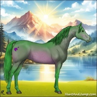 Horse Color:Watercolor Bay 