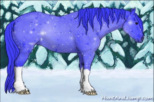 Horse Color:Watercolor Black