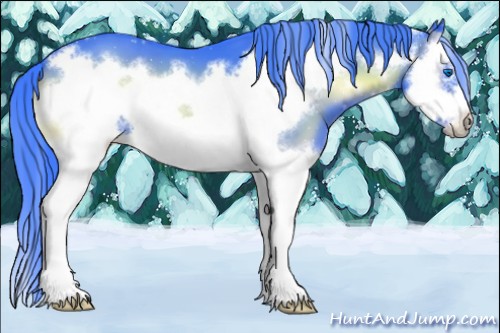Horse Color:Watercolor Blue Onyx Splash Frame 