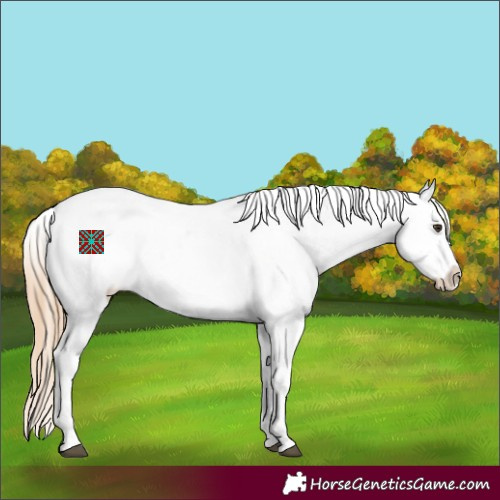 Horse Color:Red Roan Snowflake Varnish