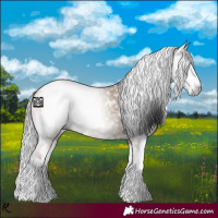 Horse Color:Gray White Spotted Classic Champagne Dun Splash 