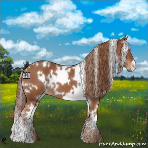 Horse Color:White Spotted Chestnut 