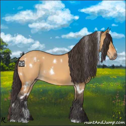 Horse Color:White Spotted Buckskin Dun