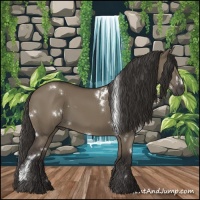 Horse Color:White Spotted Smoky Grullo