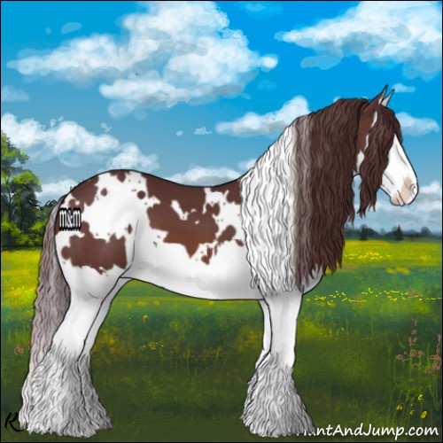 Horse Color:White Spotted Chocolate Brown Splash