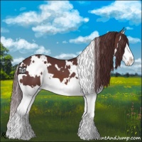 Horse Color:White Spotted Chocolate Brown Splash 