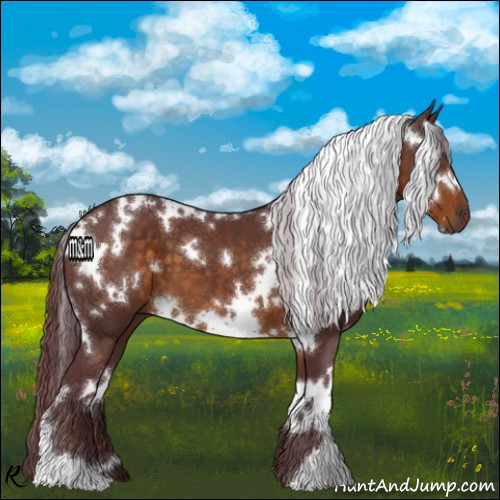Horse Color:White Spotted Chocolate Buckskin