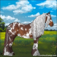 Horse Color:White Spotted Chocolate Buckskin 