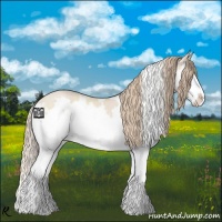 Horse Color:White Spotted Chocolate Perlino Dun Splash 