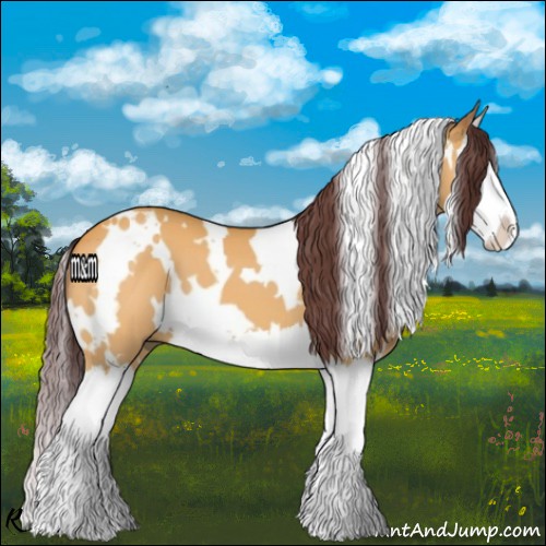 Horse Color:White Spotted Chocolate Buckskin Splash