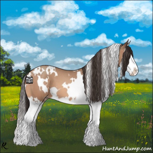 Horse Color:White Spotted Sable Champagne Roan Splash