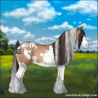 Horse Color:White Spotted Sable Champagne Roan Splash 