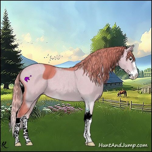 Horse Color:ERROR: UNKNOWN ANOMALY