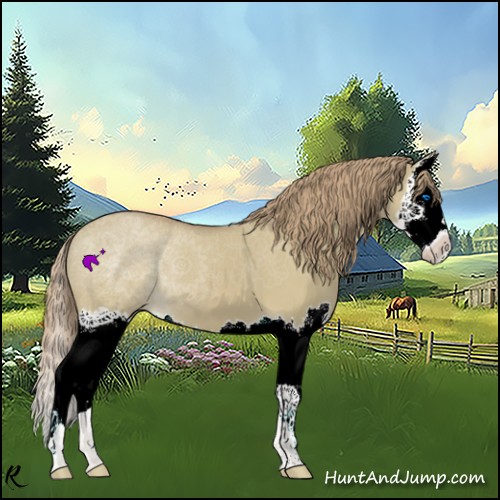 Horse Color:Watercolor Red Dun Splash