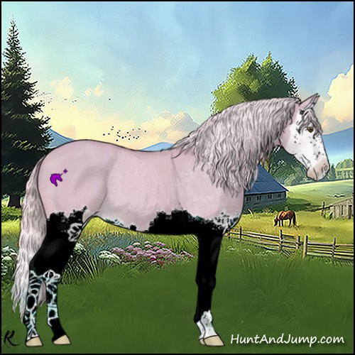 Horse Color:Watercolor Palomino Dun Splash 