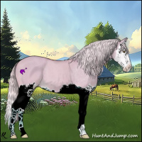 Horse Color:Watercolor Palomino Dun Splash 