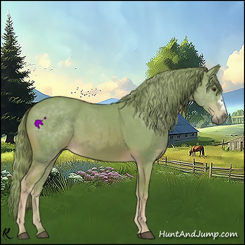 Horse Color:Watercolor Chestnut 