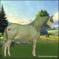 Horse Color:Watercolor Chestnut 