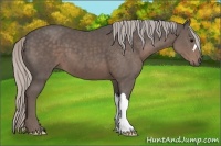 Horse Color:Silver Black 
