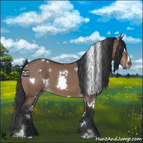 Horse Color:White Spotted Brown Dun Sabino
