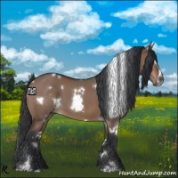 Horse Color:White Spotted Brown Dun Sabino 