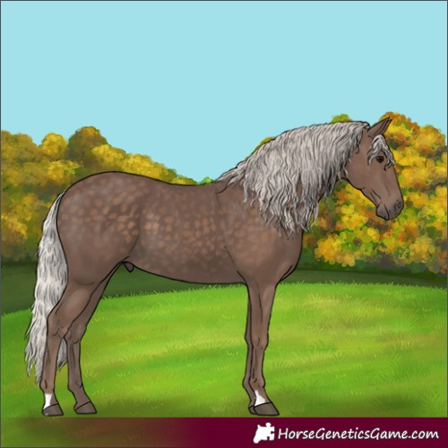 Horse Color:Silver Black 
