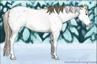 Horse Color:Buckskin Sabino Varnish Rabicano