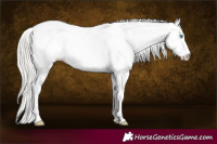 Horse Color:Silver Buckskin Pearl Dun Sabino 