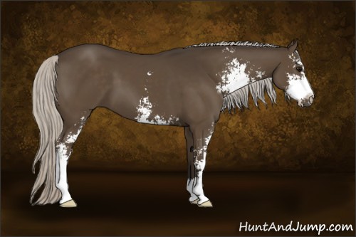 Horse Color:Silver Smoky Black Sabino 