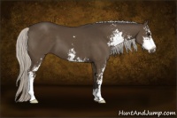 Horse Color:Silver Smoky Black Sabino 