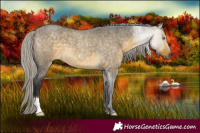 Horse Color:Silver Buckskin Roan Dun 