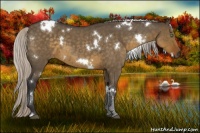 Horse Color:White Spotted Silver Smoky Grullo Roan 